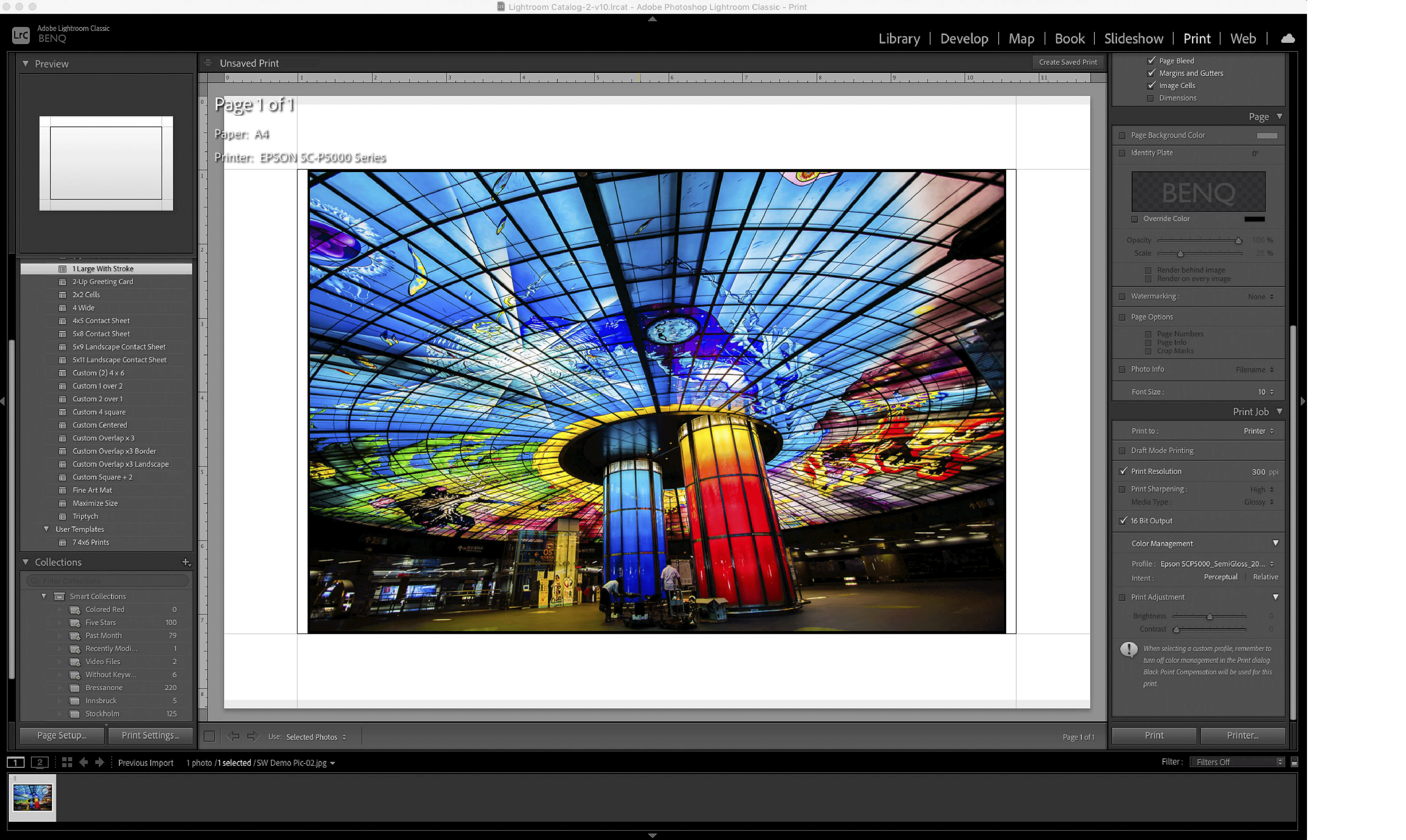 ‘Print Module View’ in Lightroom Classic.